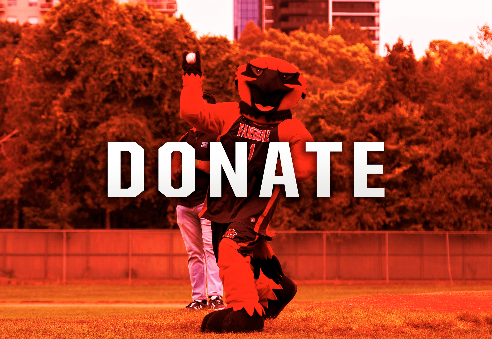 Donate