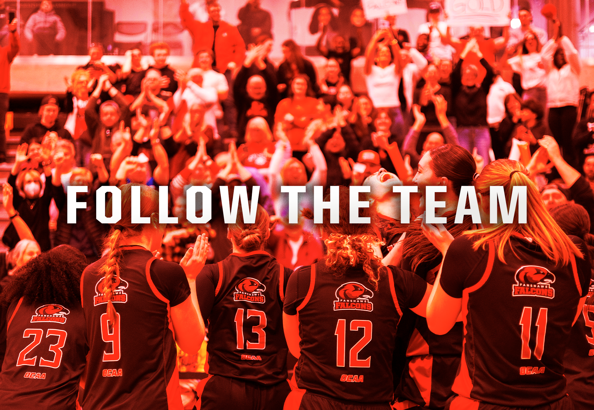 Follow the Team