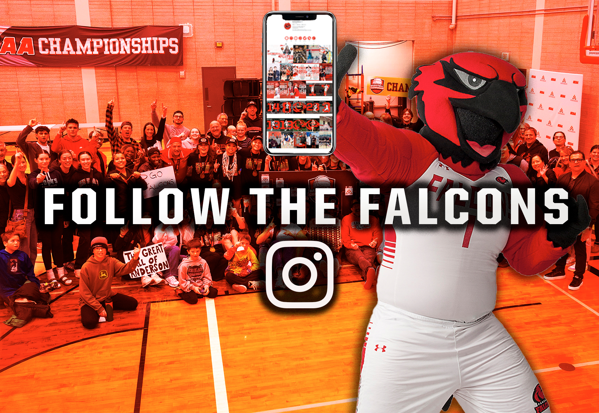 Follow the Falcons