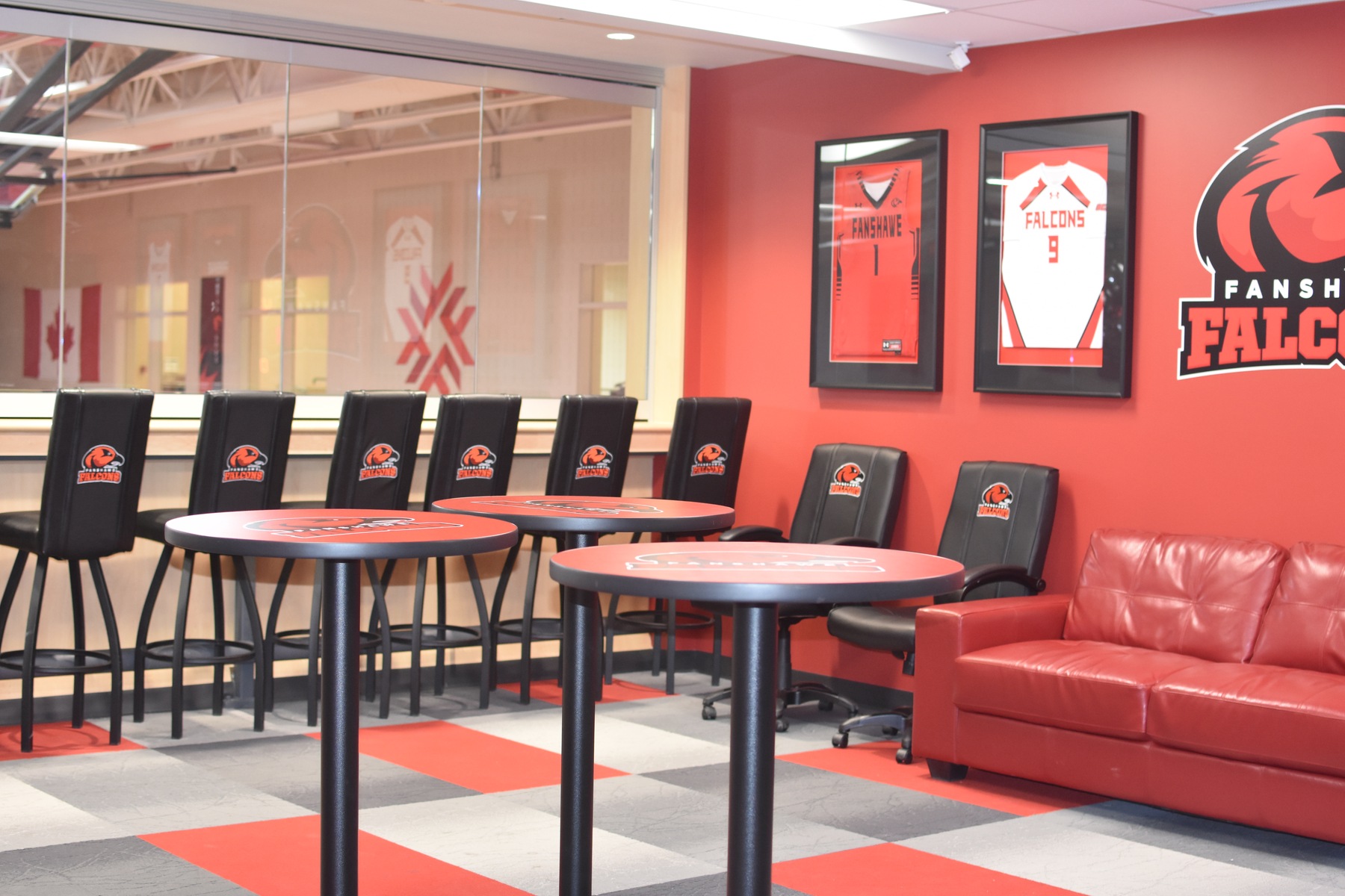 falcons suite 1