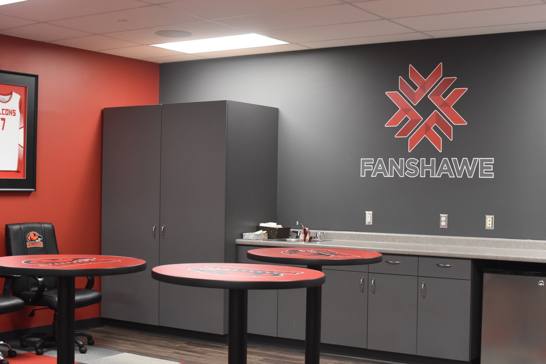 falcons suite 3