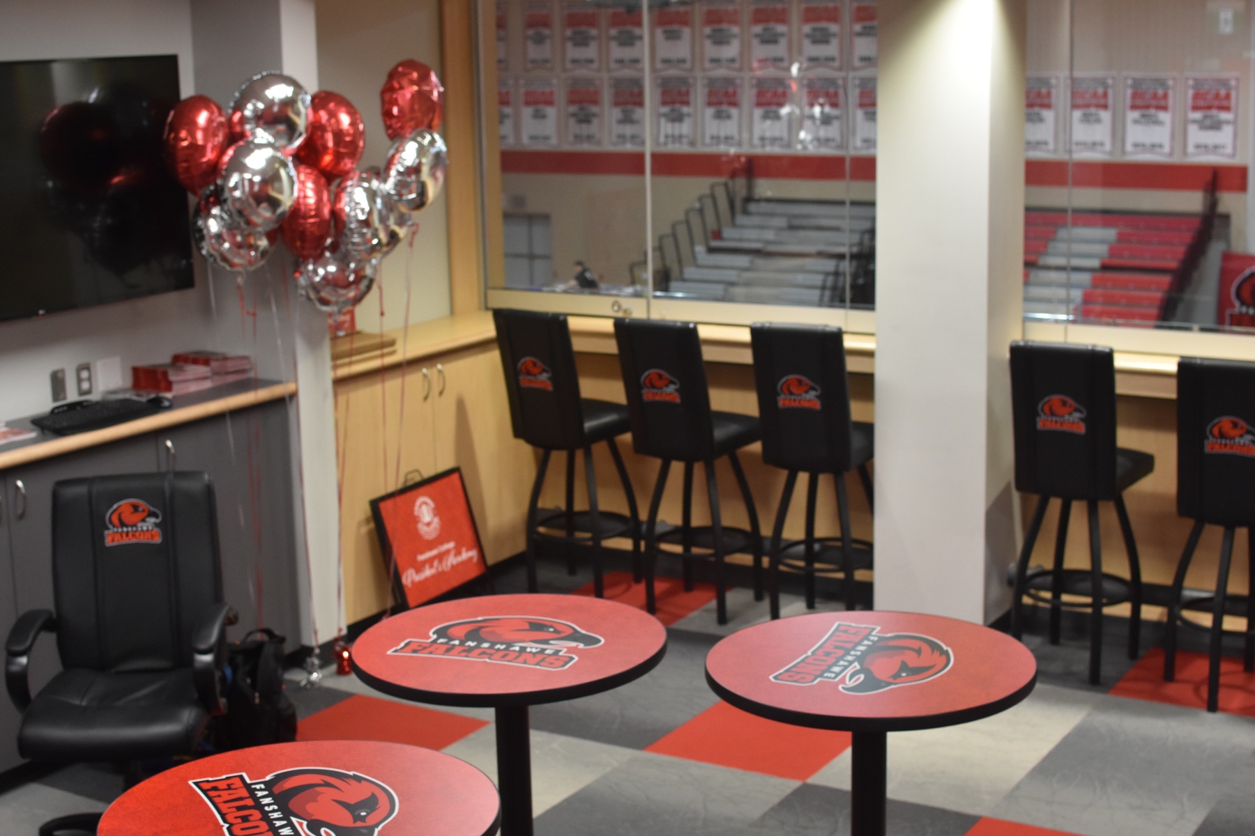 falcons suite 2
