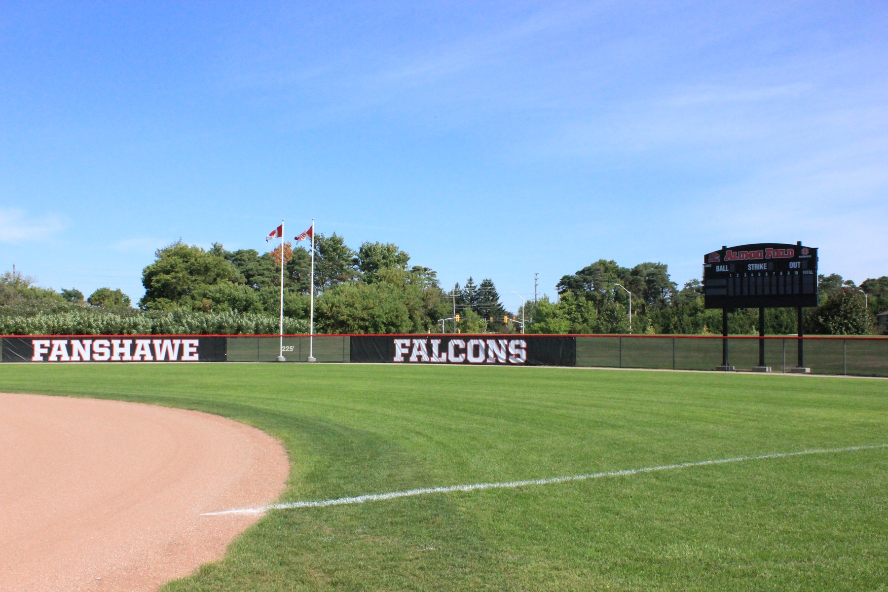 alumni field1